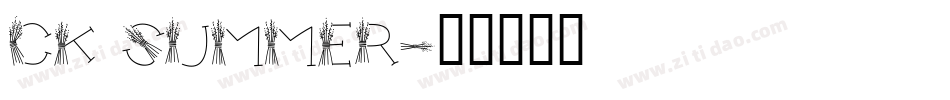 CK Summer字体转换